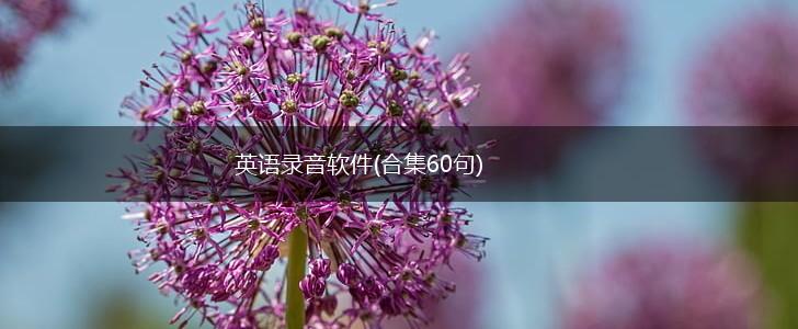 英语录音软件(合集60句),第1张