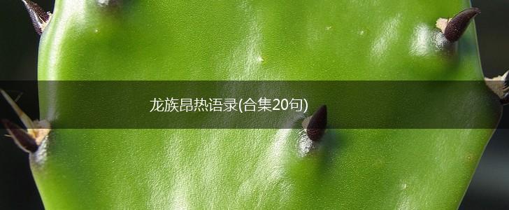 龙族昂热语录(合集20句),第1张