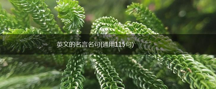 英文的名言名句(通用115句),第1张