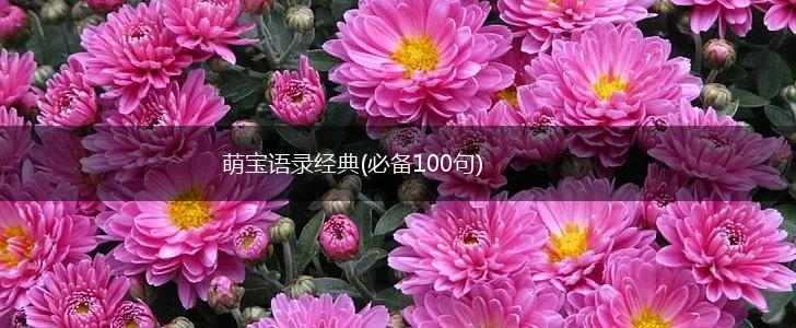 萌宝语录经典(必备100句),第1张