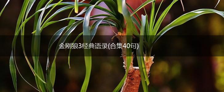 金刚狼3经典语录(合集40句),第1张
