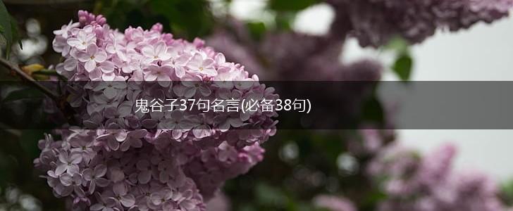 鬼谷子37句名言(必备38句),第1张