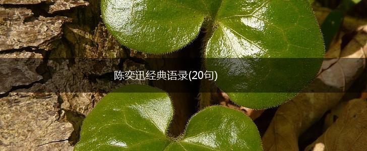 陈奕迅经典语录(20句),第1张