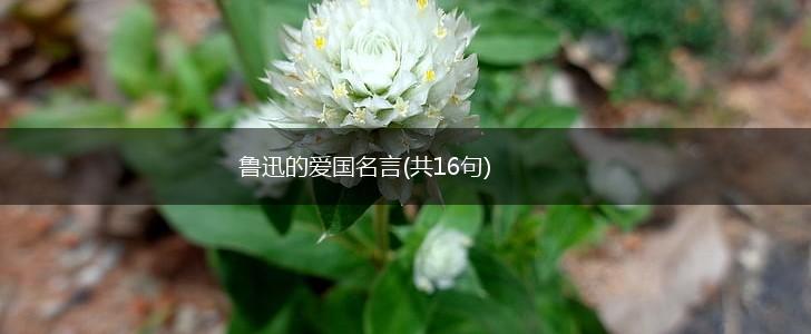 鲁迅的爱国名言(共16句),第1张