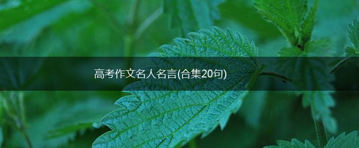 高考作文名人名言(合集20句),第1张