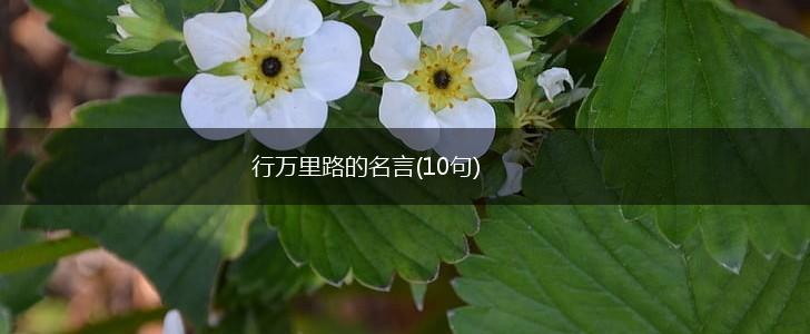 行万里路的名言(10句),第1张