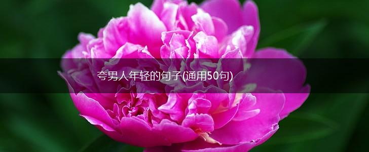 夸男人年轻的句子(通用50句),第1张