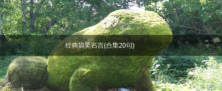 经典搞笑名言(合集20句),第1张 经典搞笑名言(合集20句),第1张