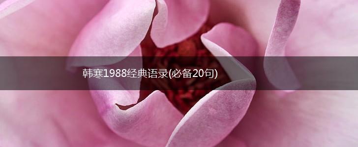 韩寒1988经典语录(必备20句),第1张