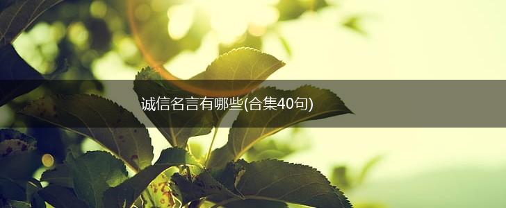 诚信名言有哪些(合集40句),第1张