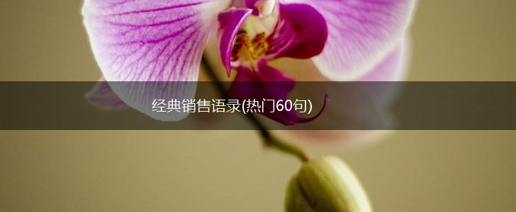 经典销售语录(热门60句),第1张