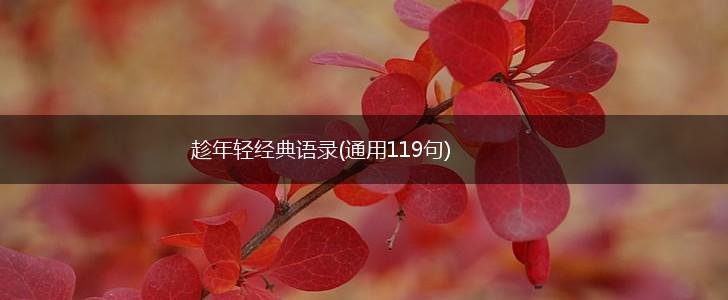 趁年轻经典语录(通用119句),第1张