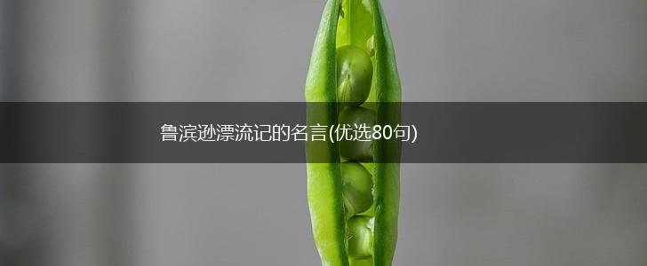 鲁滨逊漂流记的名言(优选80句),第1张