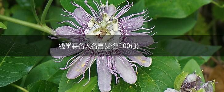 钱学森名人名言(必备100句),第1张