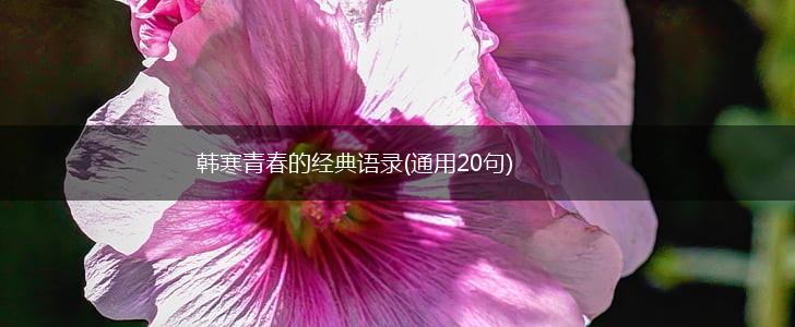 韩寒青春的经典语录(通用20句),第1张