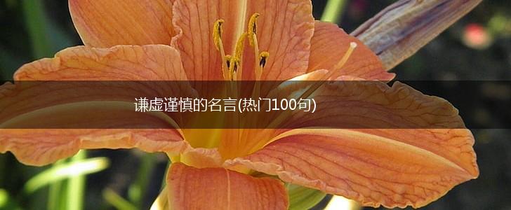 谦虚谨慎的名言(热门100句),第1张 谦虚谨慎的名言(热门100句),第1张