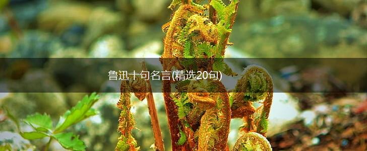 鲁迅十句名言(精选20句),第1张