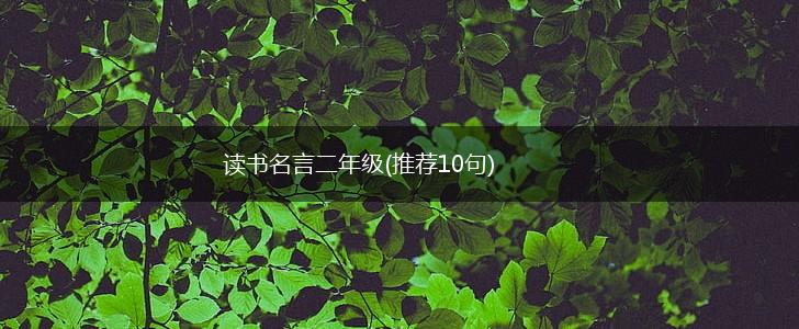 读书名言二年级(推荐10句),第1张 读书名言二年级(推荐10句),第1张