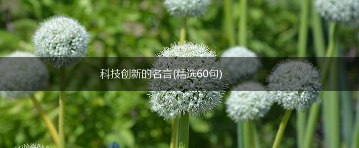 科技创新的名言(精选60句),第1张 科技创新的名言(精选60句),第1张