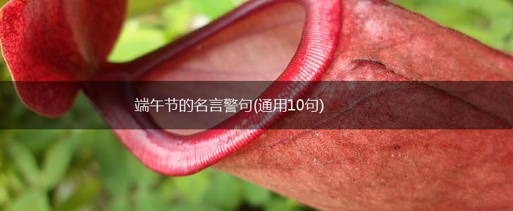 端午节的名言警句(通用10句),第1张