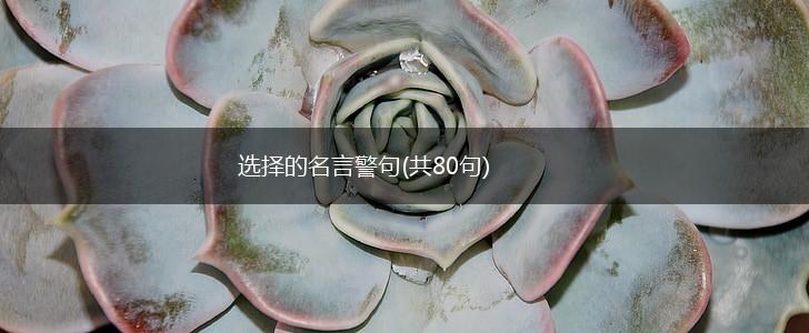 选择的名言警句(共80句),第1张 选择的名言警句(共80句),第1张