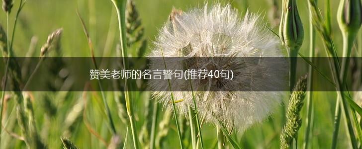 赞美老师的名言警句(推荐40句),第1张 赞美老师的名言警句(推荐40句),第1张