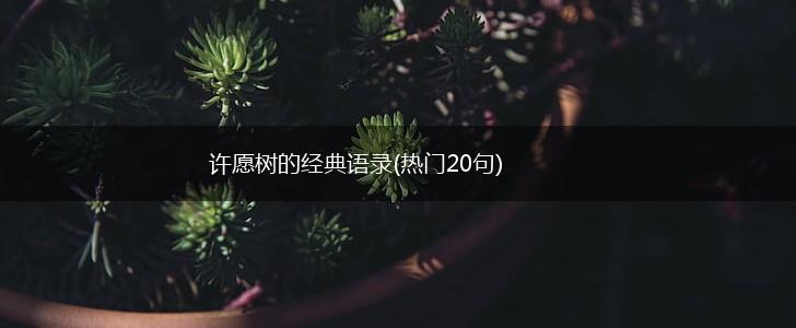 许愿树的经典语录(热门20句),第1张