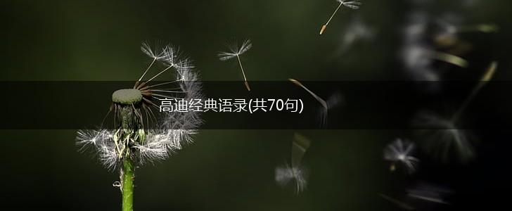 高迪经典语录(共70句),第1张
