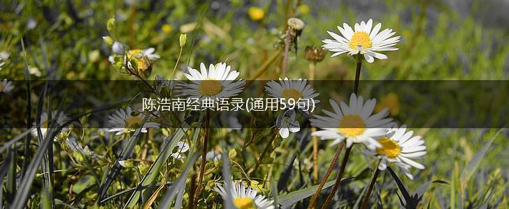 陈浩南经典语录(通用59句),第1张