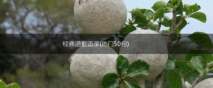 经典道歉语录(热门50句),第1张