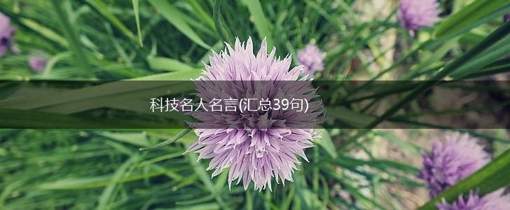 科技名人名言(汇总39句),第1张 科技名人名言(汇总39句),第1张