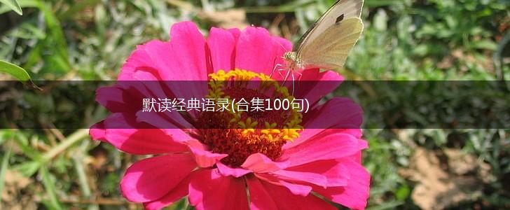 默读经典语录(合集100句),第1张