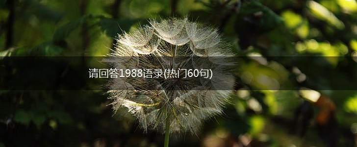 请回答1988语录(热门60句),第1张
