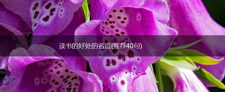 读书的好处的名言(推荐40句),第1张 读书的好处的名言(推荐40句),第1张