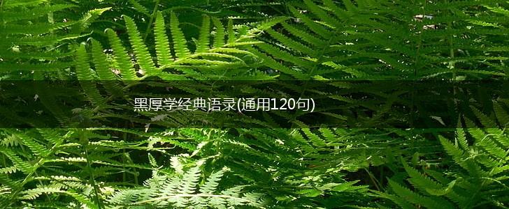 黑厚学经典语录(通用120句),第1张