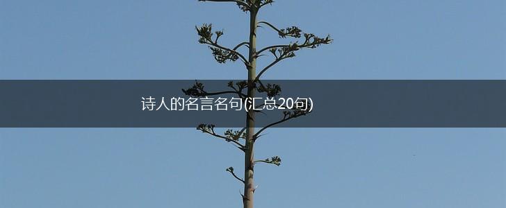 诗人的名言名句(汇总20句),第1张