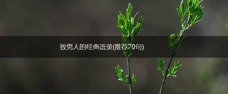 致男人的经典语录(推荐70句),第1张