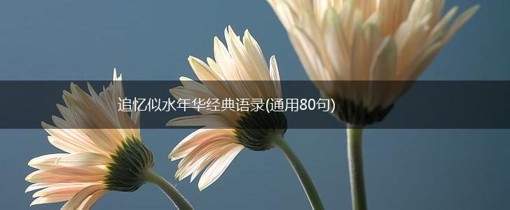 追忆似水年华经典语录(通用80句),第1张