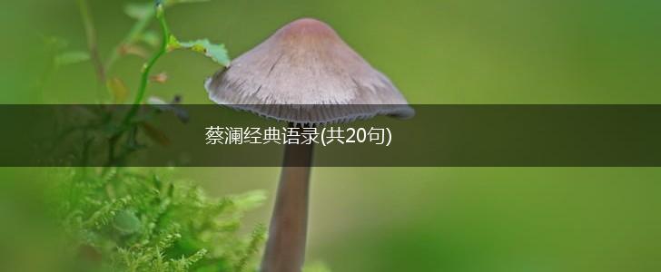 蔡澜经典语录(共20句),第1张