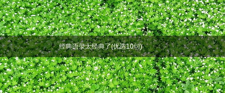 经典语录太经典了(优选10句),第1张