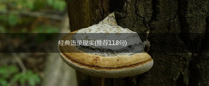 经典语录现实(推荐118句),第1张