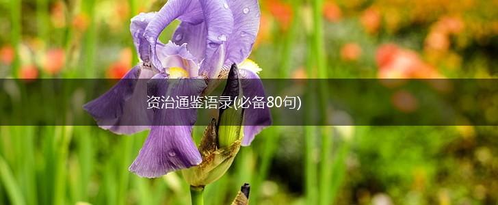 资治通鉴语录(必备80句),第1张
