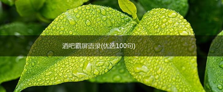 酒吧霸屏语录(优选100句),第1张