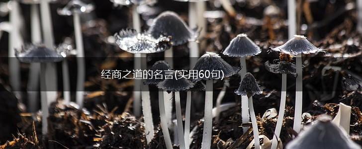 经商之道的名言(实用60句),第1张 经商之道的名言(实用60句),第1张
