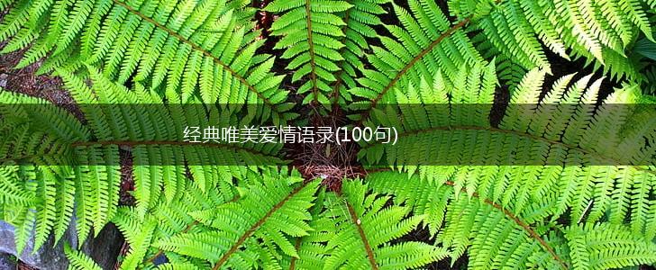 经典唯美爱情语录(100句),第1张