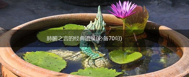肺腑之言的经典语录(必备70句),第1张