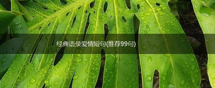 经典语录爱情短句(推荐99句),第1张