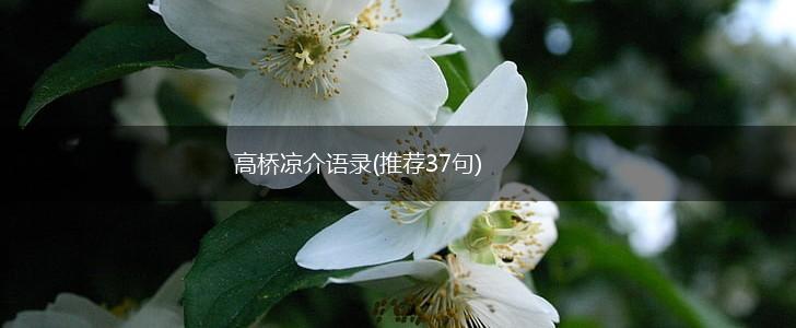 高桥凉介语录(推荐37句),第1张