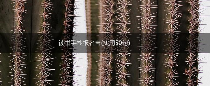 读书手抄报名言(实用50句),第1张 读书手抄报名言(实用50句),第1张