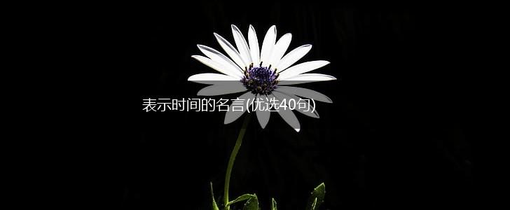 表示时间的名言(优选40句),第1张
